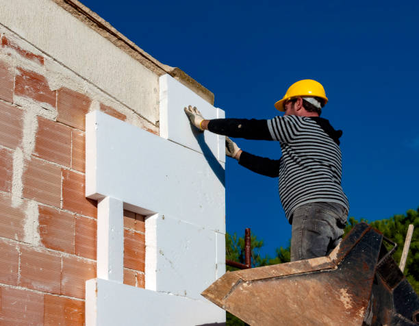 Best Home Insulation Services  in Csar Chvez, TX
