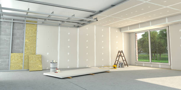 Best Wall Insulation Contractor  in Csar Chvez, TX