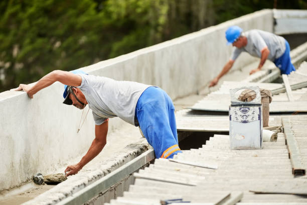 Best Insulation Removal  in Csar Chvez, TX