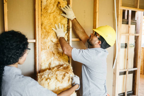 Insulation for New Construction in Csar Chvez, TX
