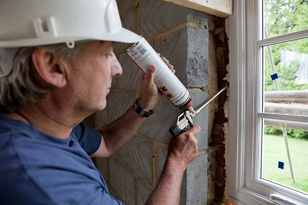 Best Local Insulation Services  in Csar Chvez, TX