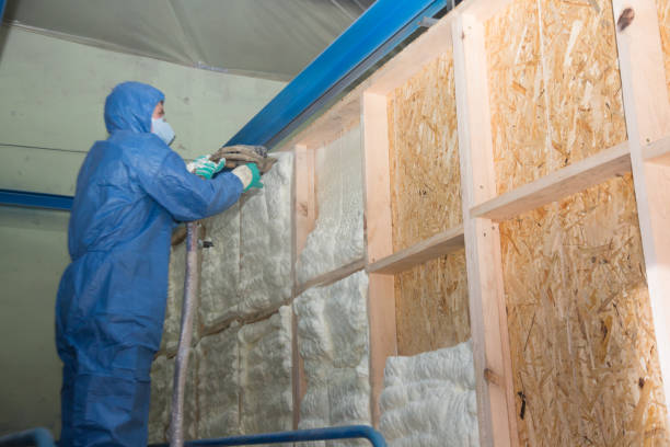 Best Residential Insulation Services  in Csar Chvez, TX