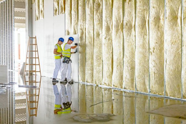 Best Affordable Insulation Services  in Csar Chvez, TX